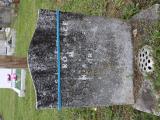 image of grave number 785899